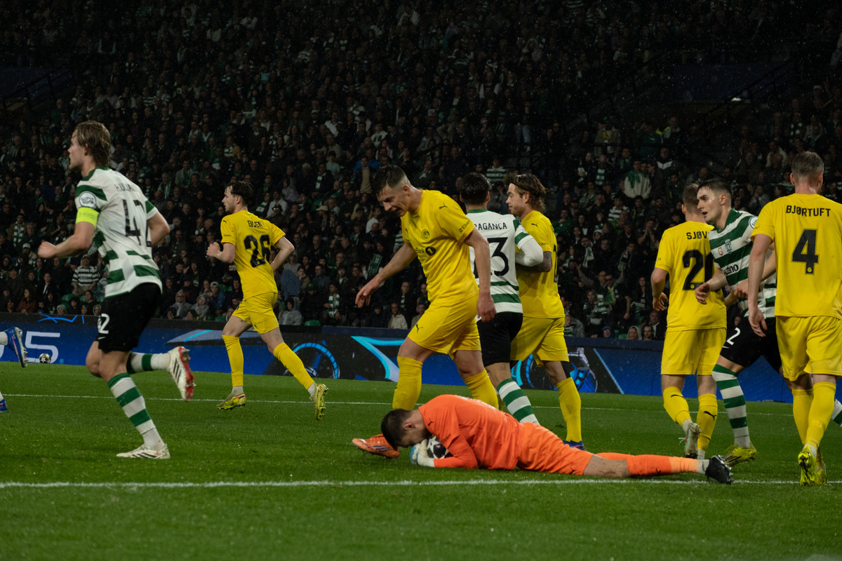     Фото: Алина Зайнуллина