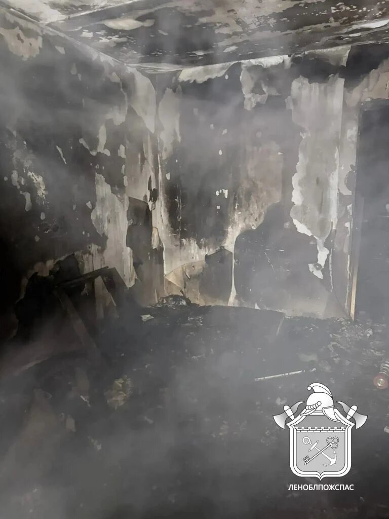    Фото: пресс-служба Леноблпожспаса