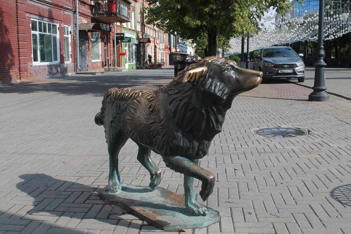 Челябинский  Хатико 