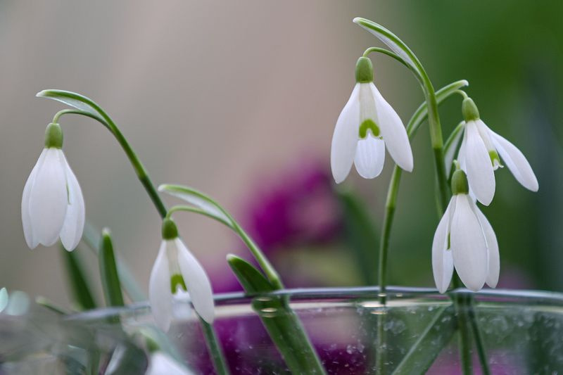    Сергей Булкин/NEWS.ru