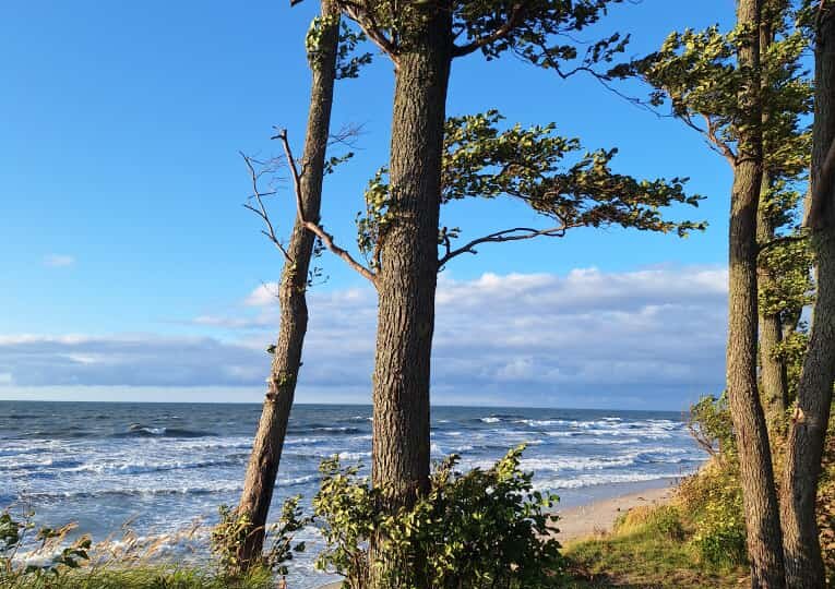 Секретная локация Калининградцев для отдыха на пляже: утес Заостровья