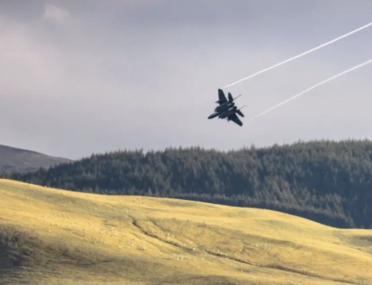 Из открытых источников 