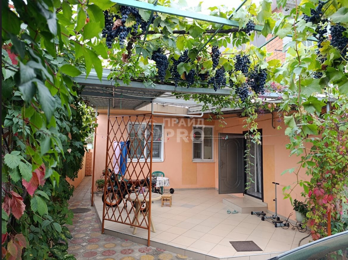 Виноград - только руку протяни