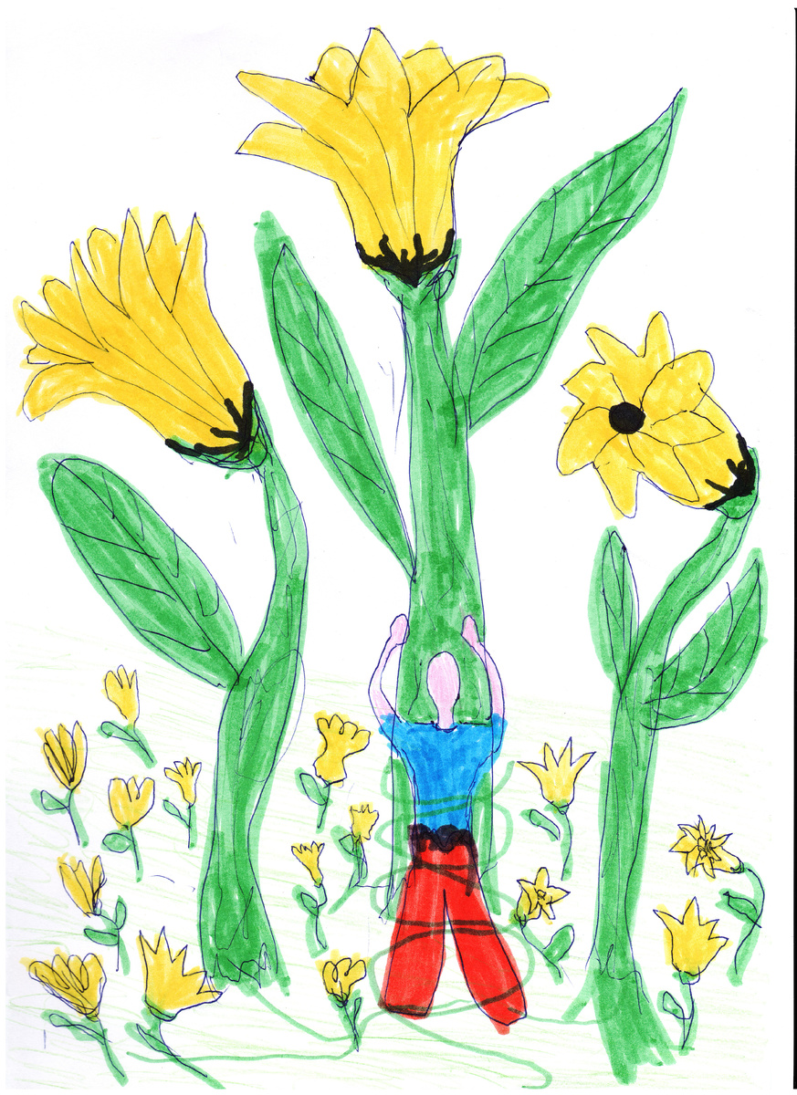 Образ РАСТЕНИЕ - Трансформационный