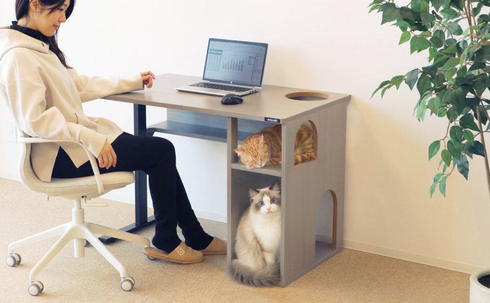 Фото be-s Co.,Ltd