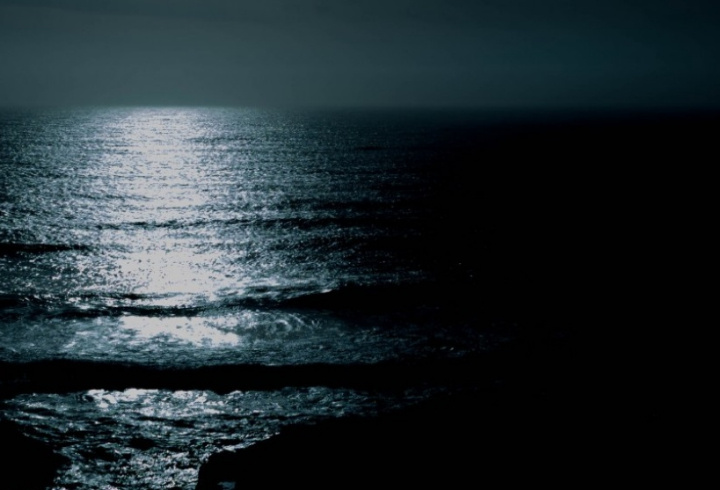 фото: pxhere.com