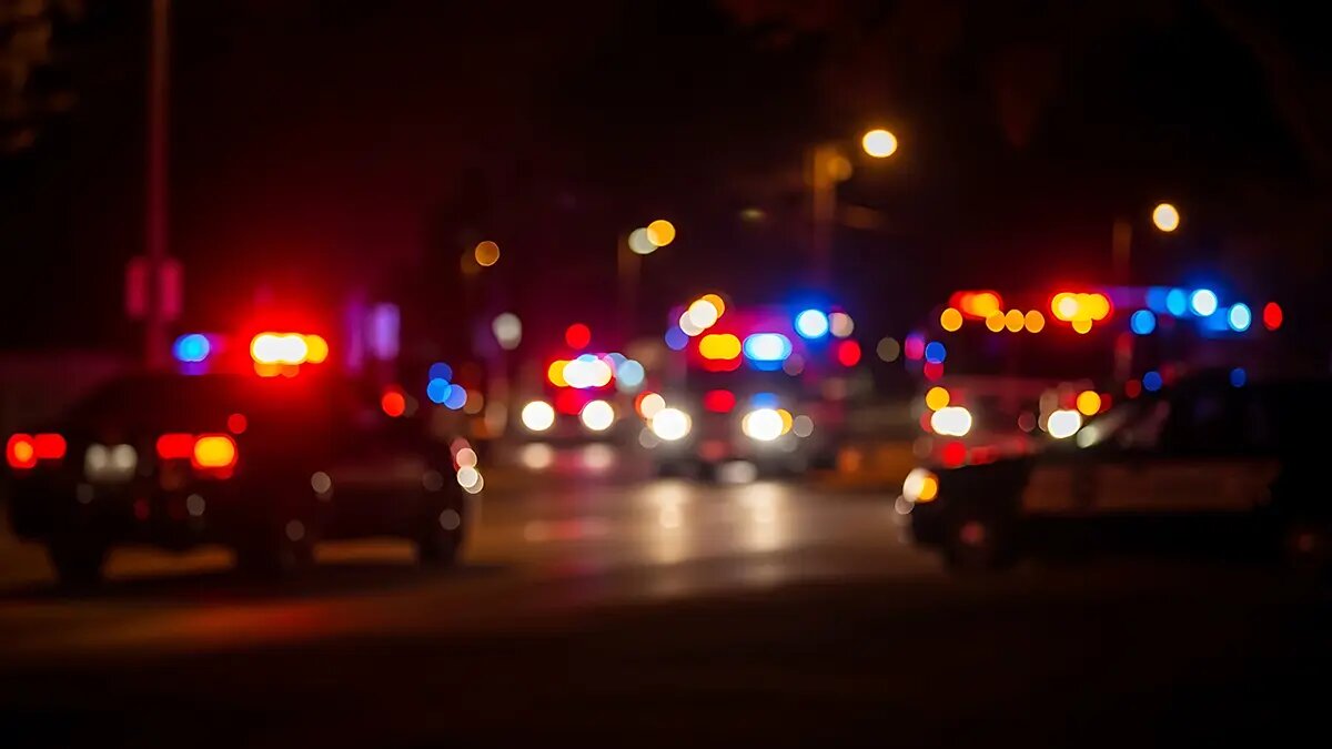    Источник: vm.ru/ Владимир Бондарев