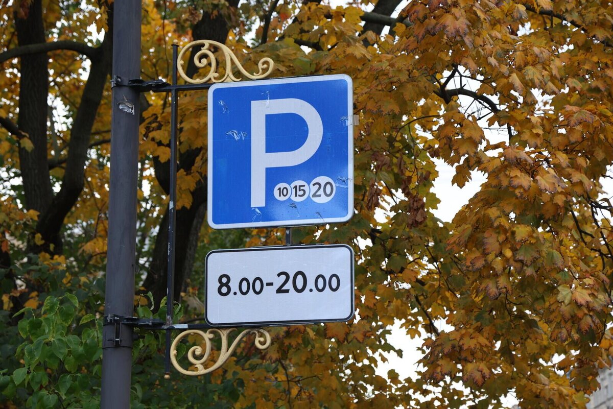 Фото: Олег Золото / «Петербургский дневник»