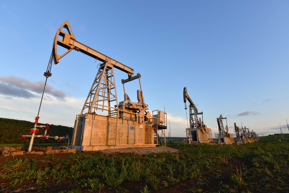    Shutterstock/FOTODOM