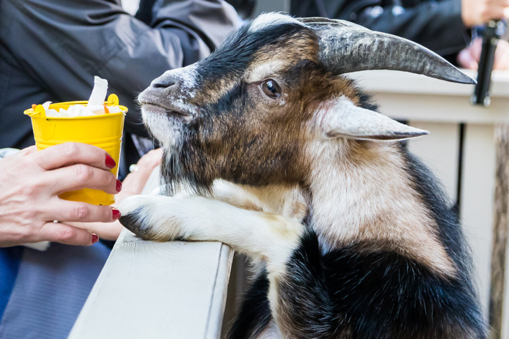    Фото из архива VN.ru