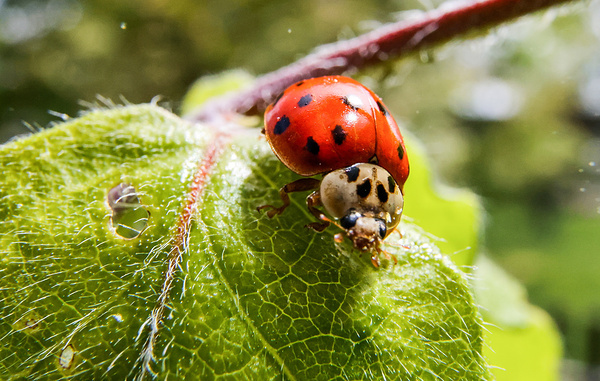 Юрий Смитюк/ТАСС