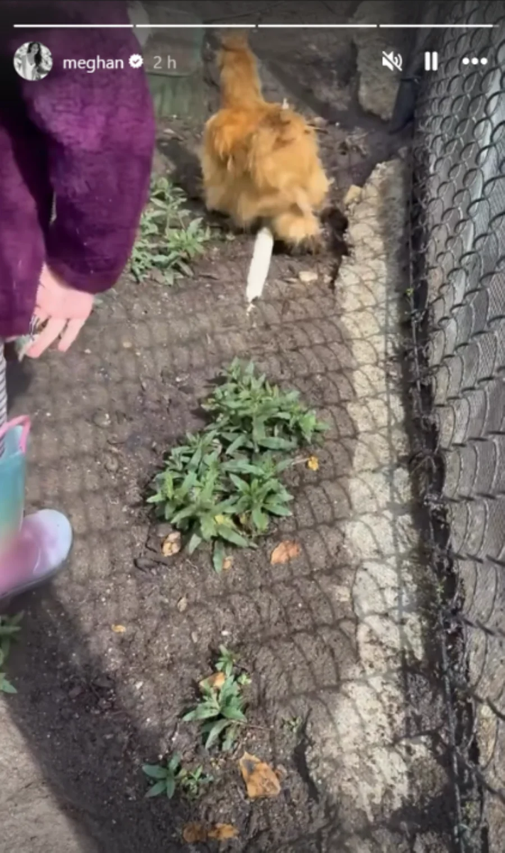 Из интернета