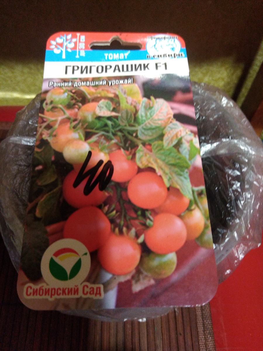 Фото 17 марта 2026 года