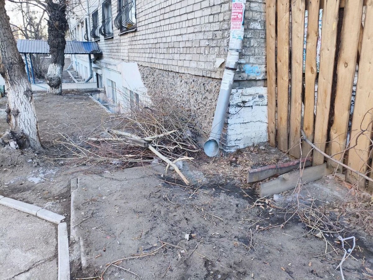    Фото: Telegram-канал Александра Осипова   📷   Фото: Telegram-канал Александра Осипова   📷   Фото: Telegram-канал Александра Осипова