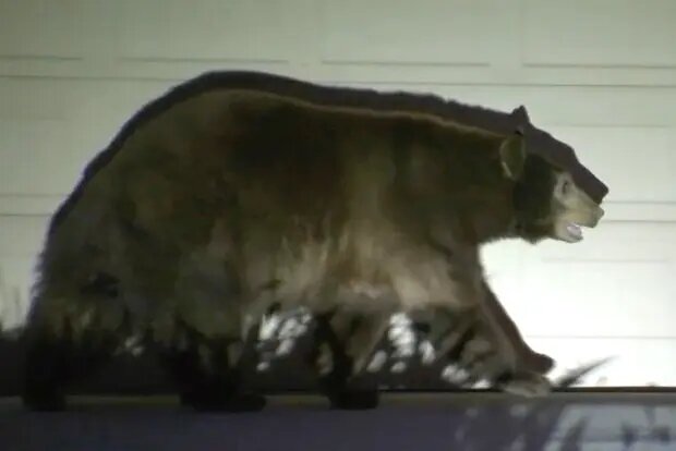    Источник: lenta.ru/ Татьяна