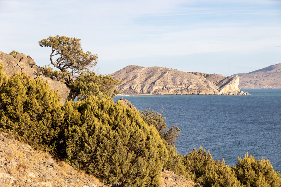    Сергей Петров/NEWS.ru