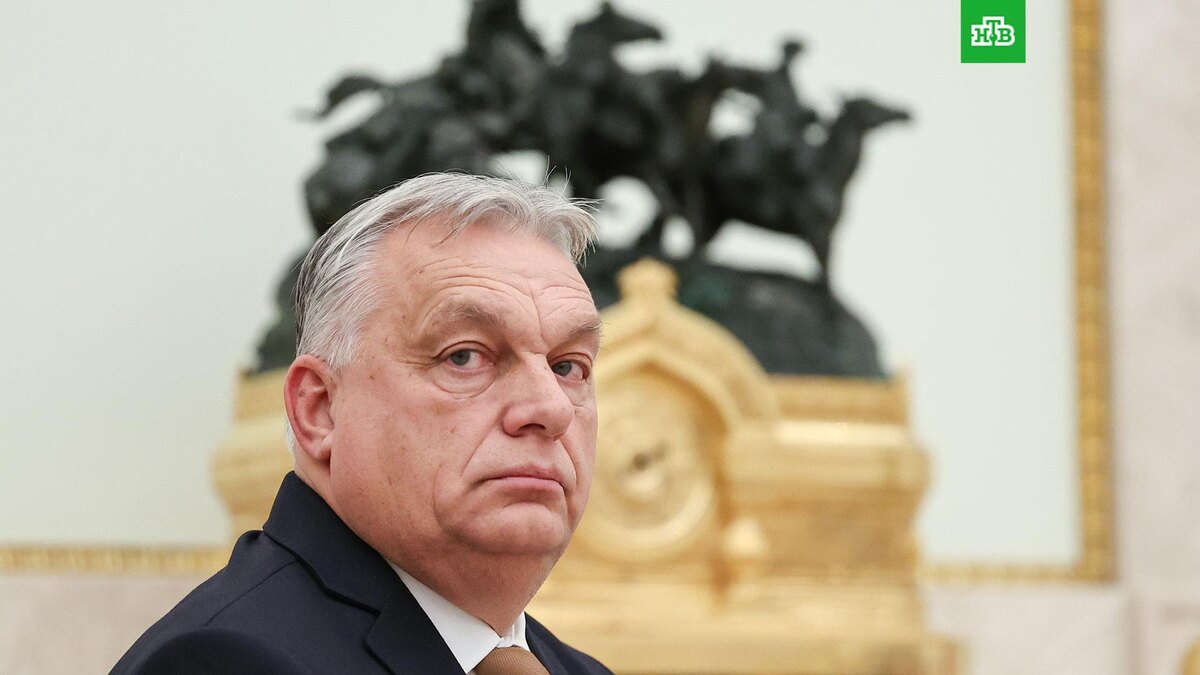    Фото: РИА Новости © 2026, Александр Казаков