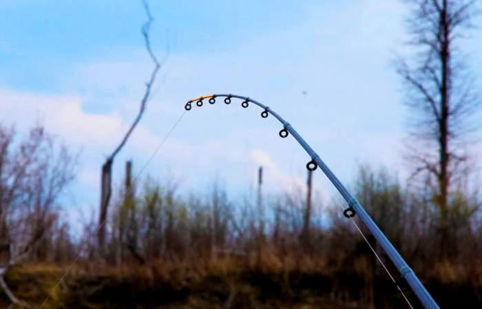 Весенняя река: секреты апрельской фидерной ловли