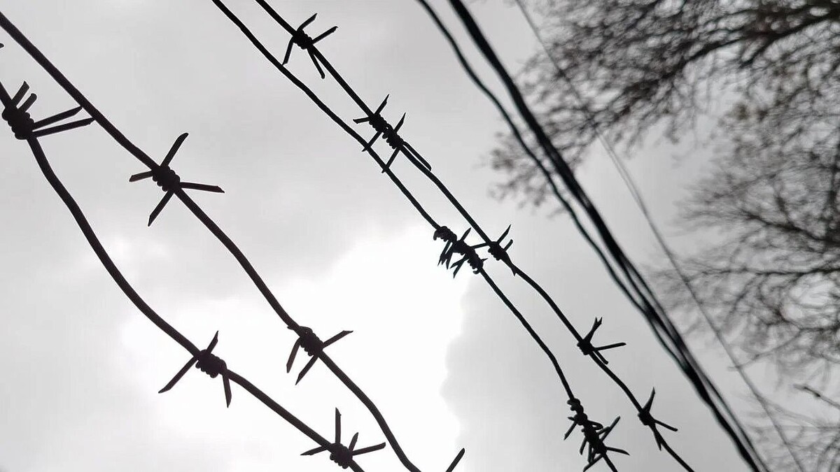    Фото: телеканал «Краснодар»