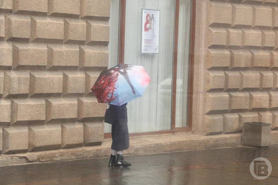    Фото: Дмитрий Рогулин / "Городские вести"