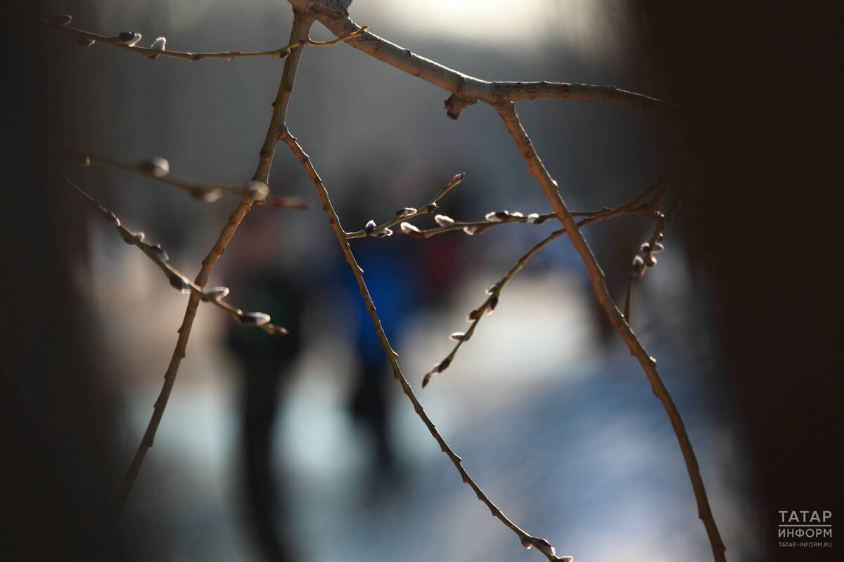 Фото: © Михаил Захаров / «Татар-информ»