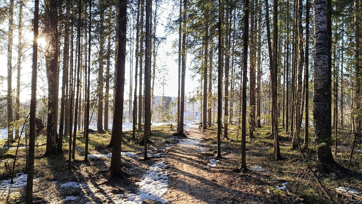    фото: Любовь Трофимова