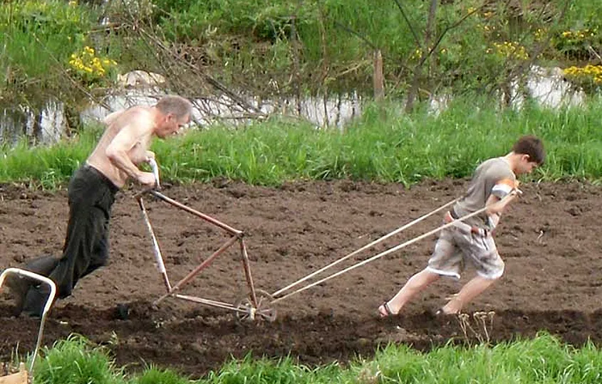 Дачное рабство. Она владеет мной, а не я ей.