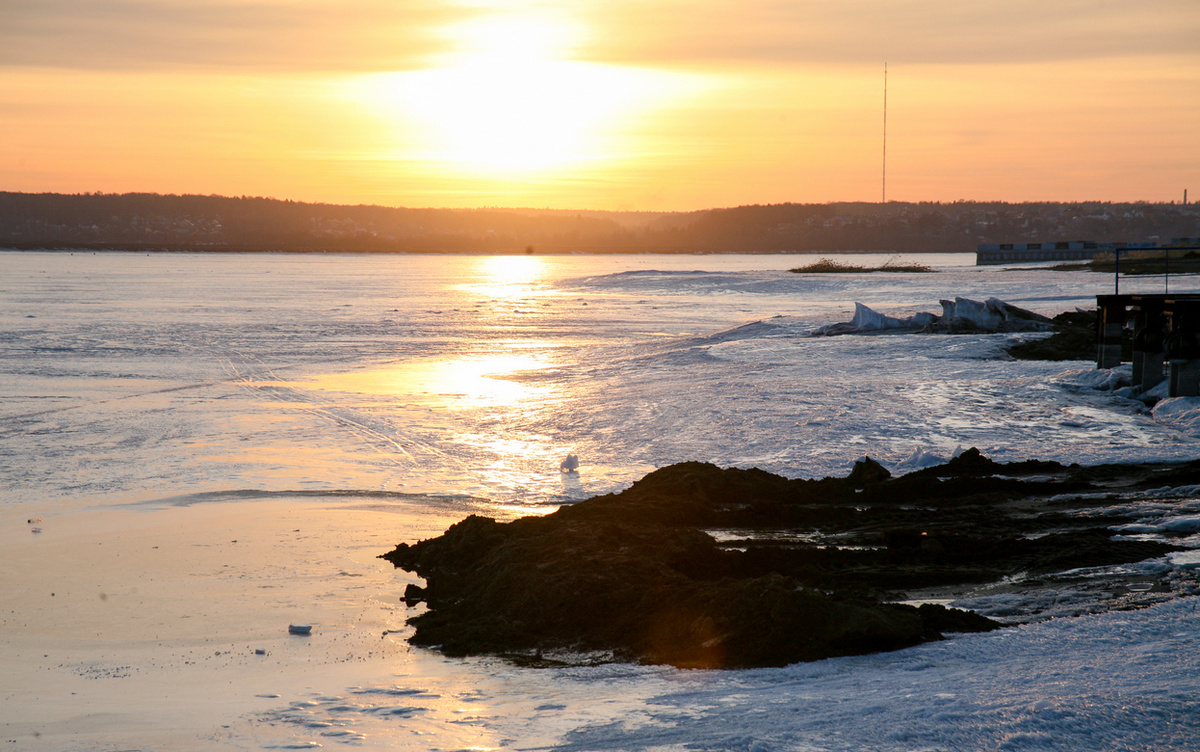    Главные новости Ижевска на утро 18 марта: кадровые назначения и новые госзакупки