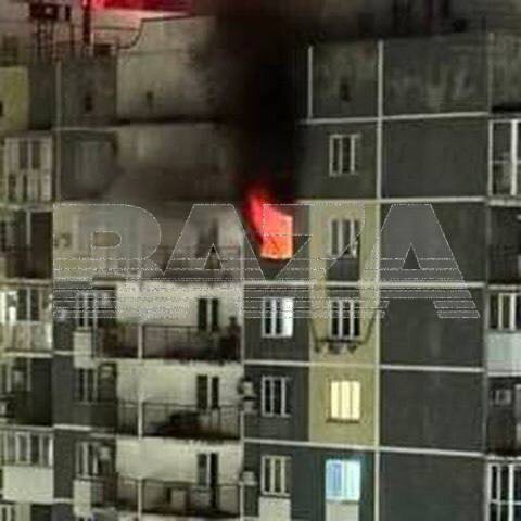   Фото: соцсети