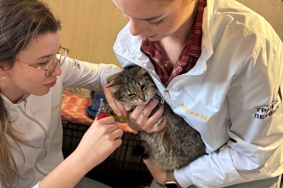    Фото: Волгоградский ГАУ