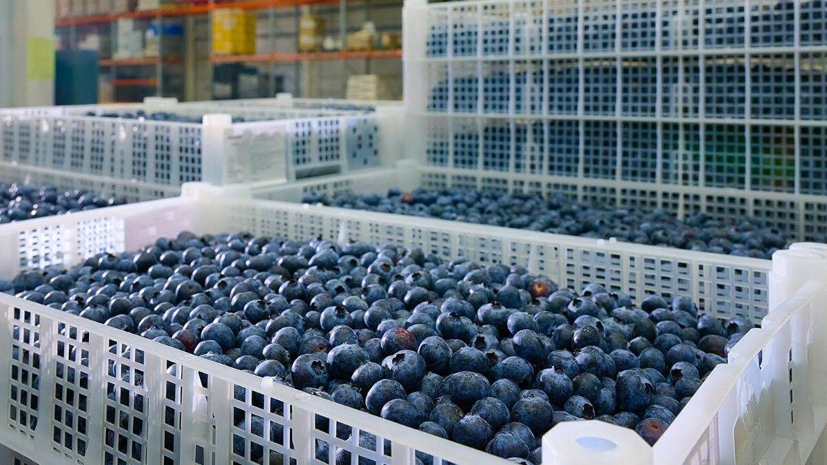    Фото: пресс-служба Департамента инвестиционной и промышленной политики города Москвы