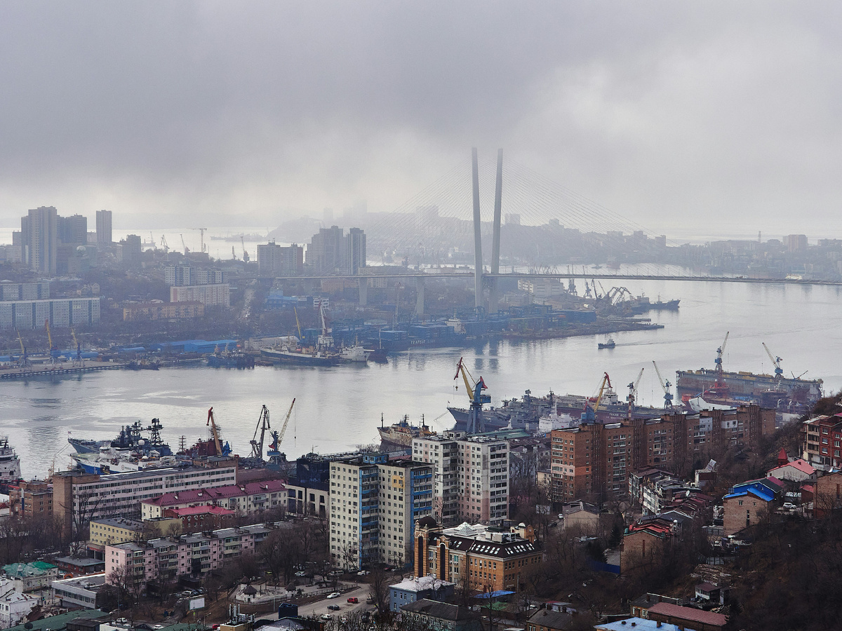 Alekhin Sasha/Unsplash