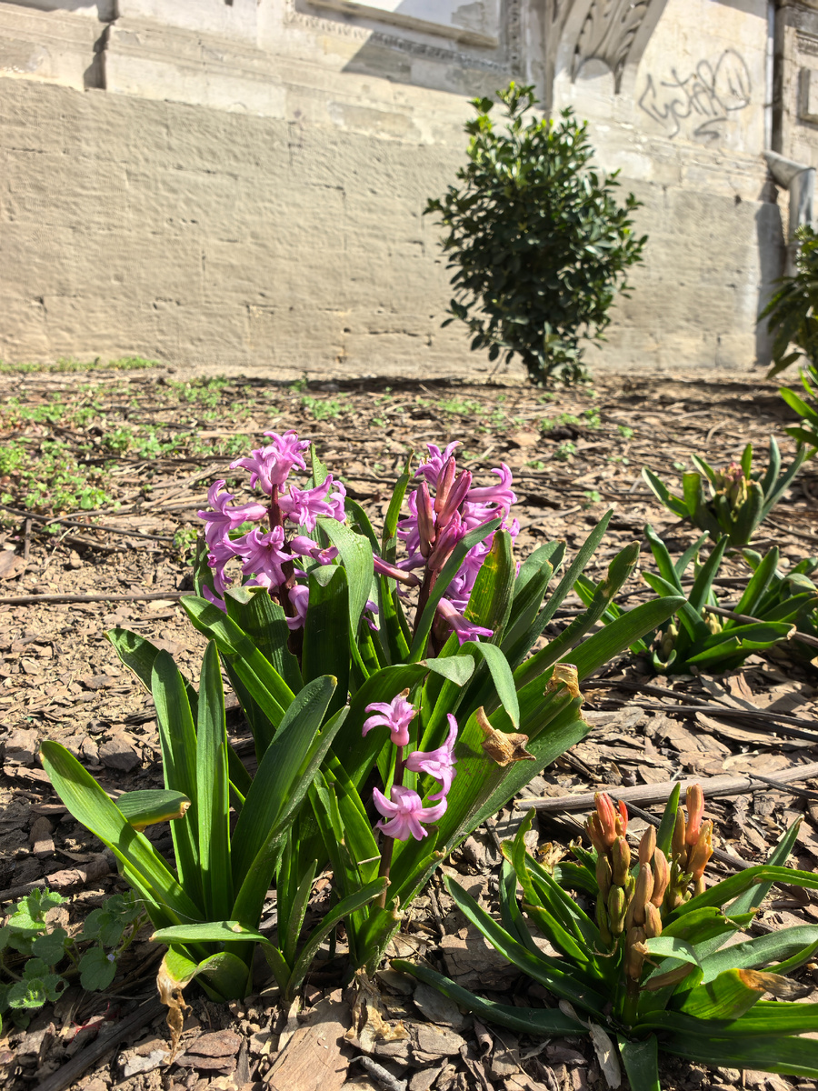 1. Все фото для статьи сделаны 17 марта 2026 года.