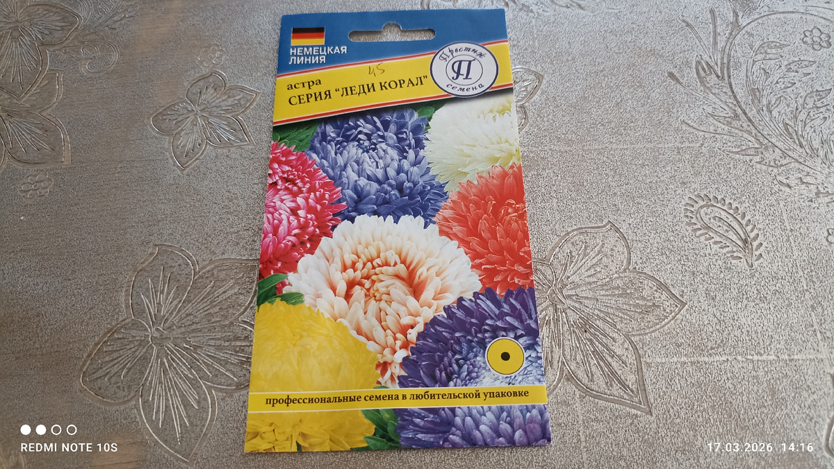 Астра ,, Леди Корал. ,, Фото автора.