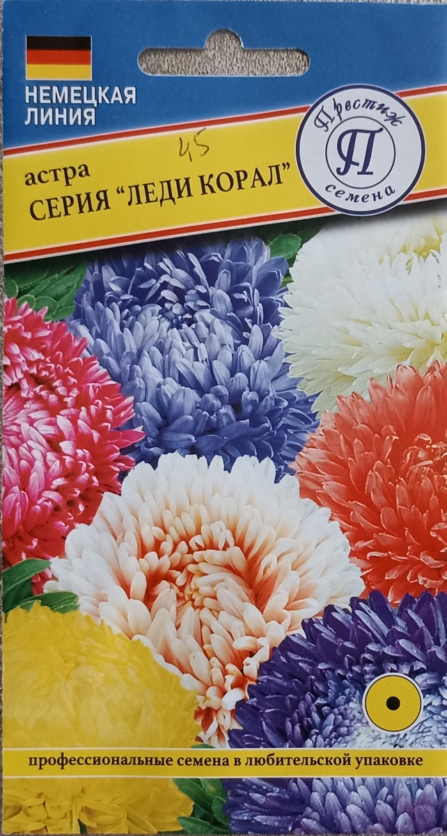 Астра ,, Леди Корал. ,, Фото автора.