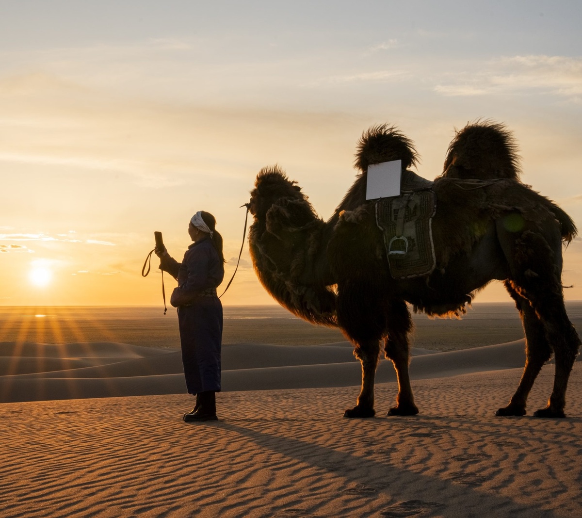 Фото SawyerMerritt/Starlink  📷
