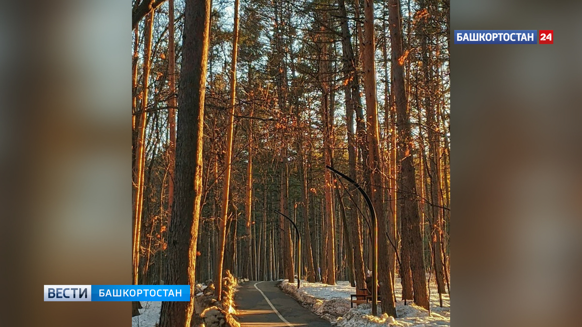    В Башкирии потеплеет до +13°