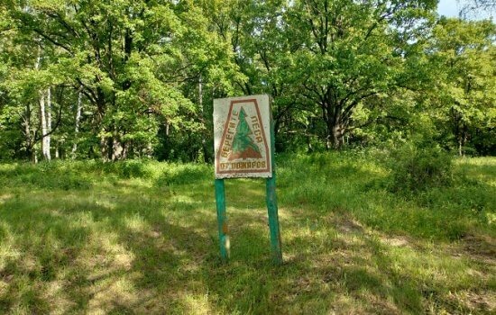    Фото: ИА «Орелград»