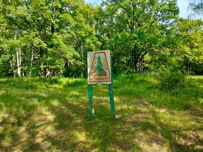    Фото: ИА «Орелград»