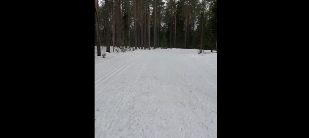    Александр Дмитриев / VK