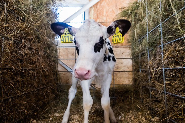    Фото Андрея Заржецкого