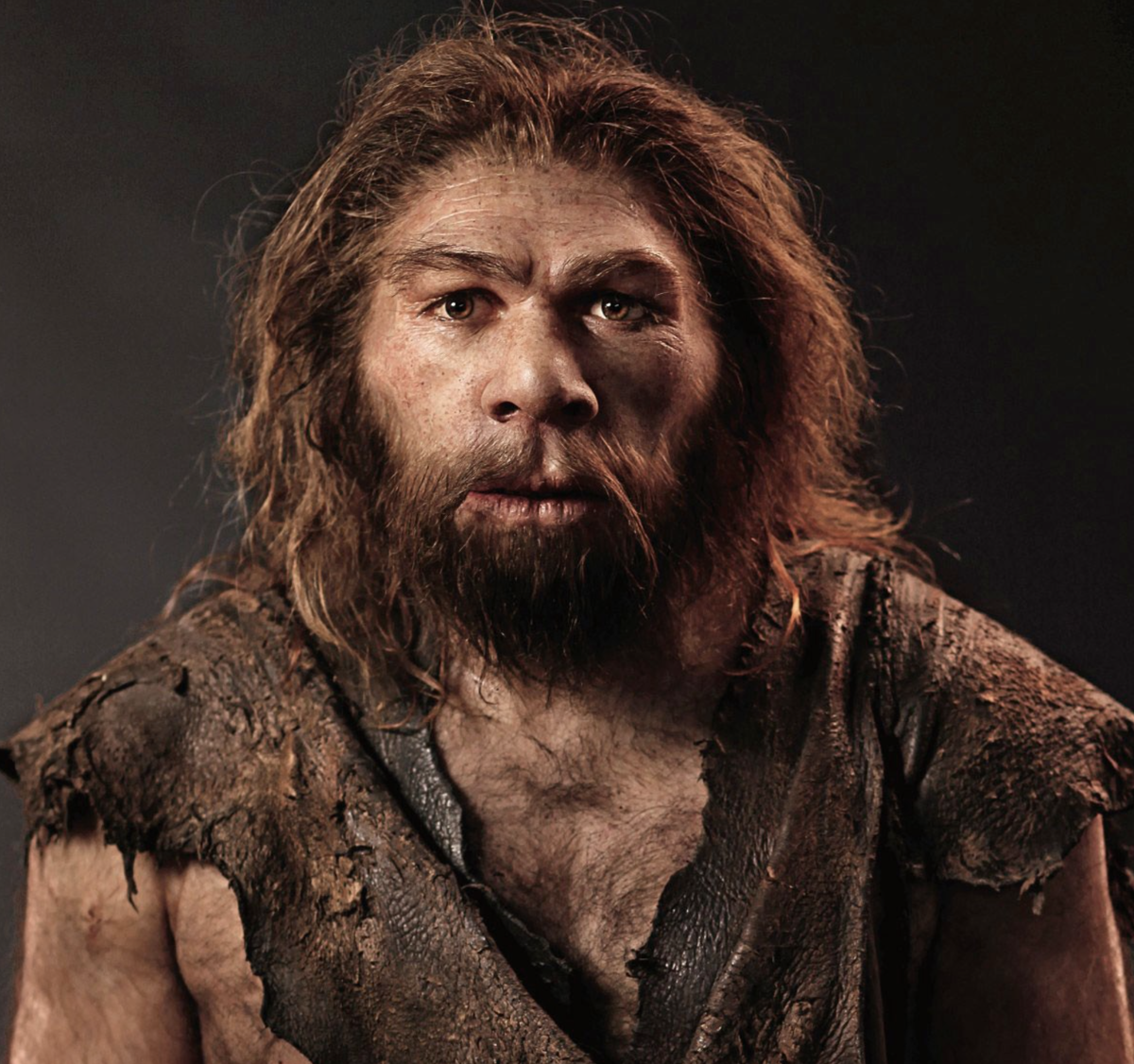 Homo Sapiens: