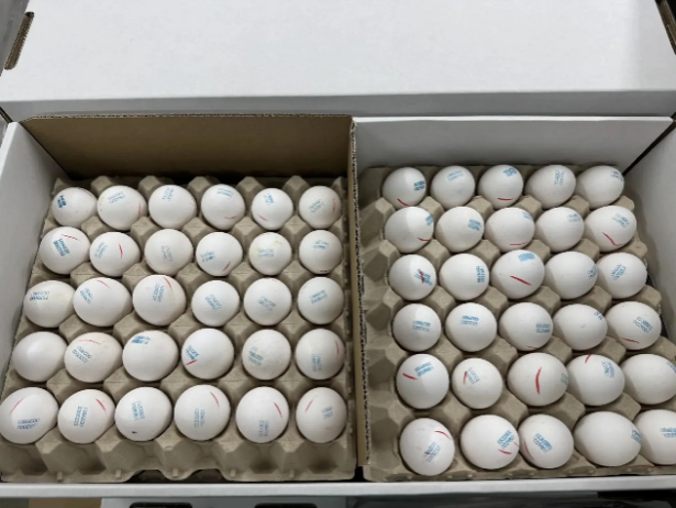 Елена Ткач, предоставлено Уральским межрегиональным управлением Россельхознадзора