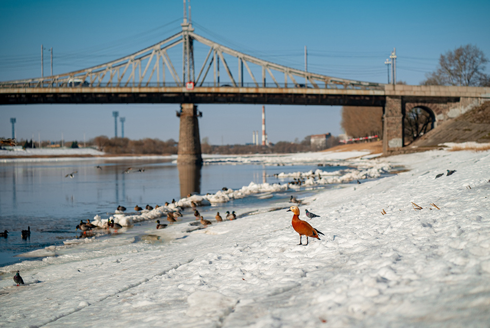 Погода в Твери 18 марта. Равноденствие