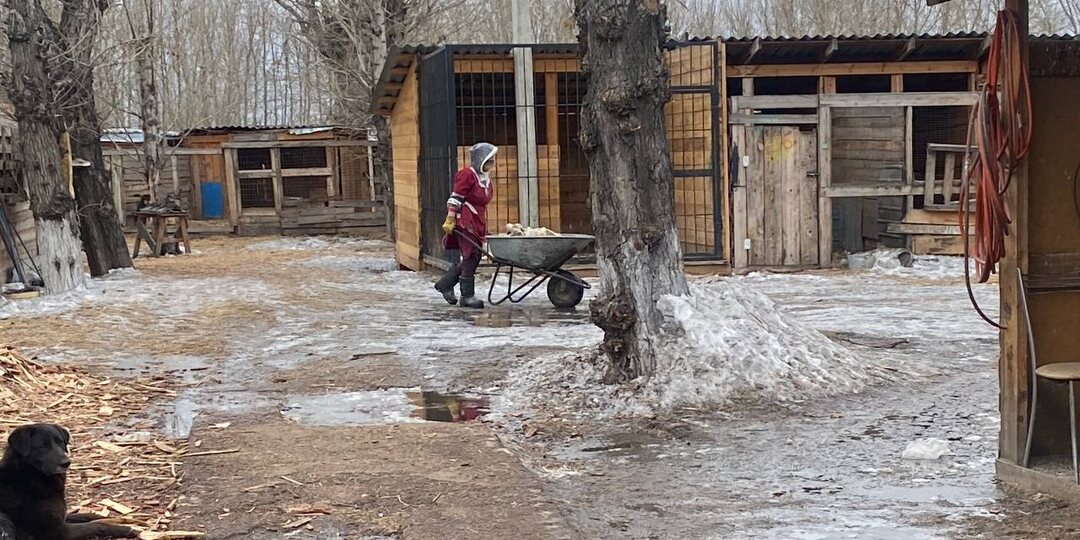 Как выжить в это сложное время?