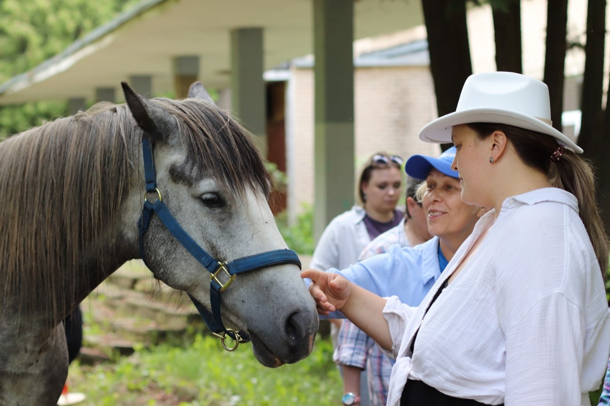 Контакт с лошадью без ролей