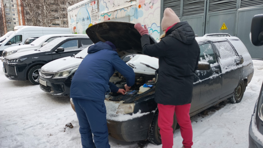    Фото progorod43.ru