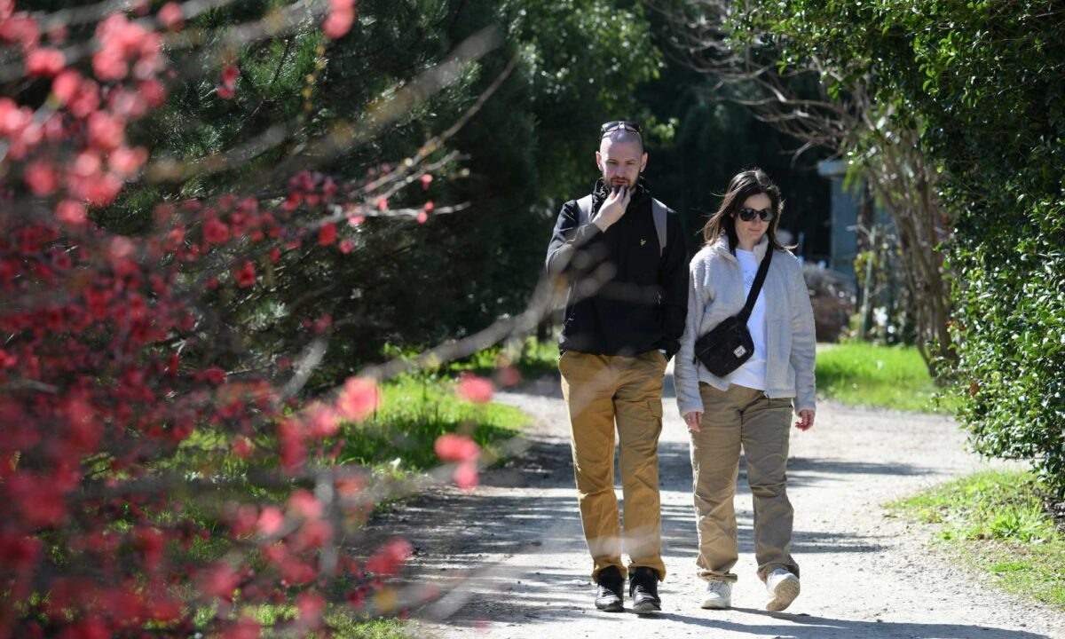    Фото Екатерины Лызловой, «Кубань 24»