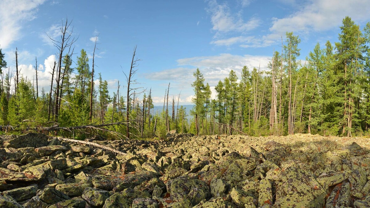    Фото:GreSiStudio/Shutterstock/Fotodom