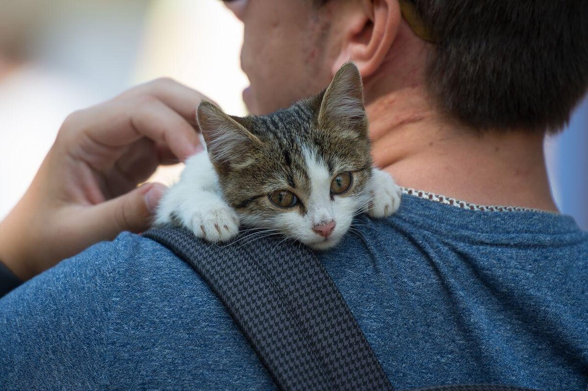 Фото: Андрей Ткаченко